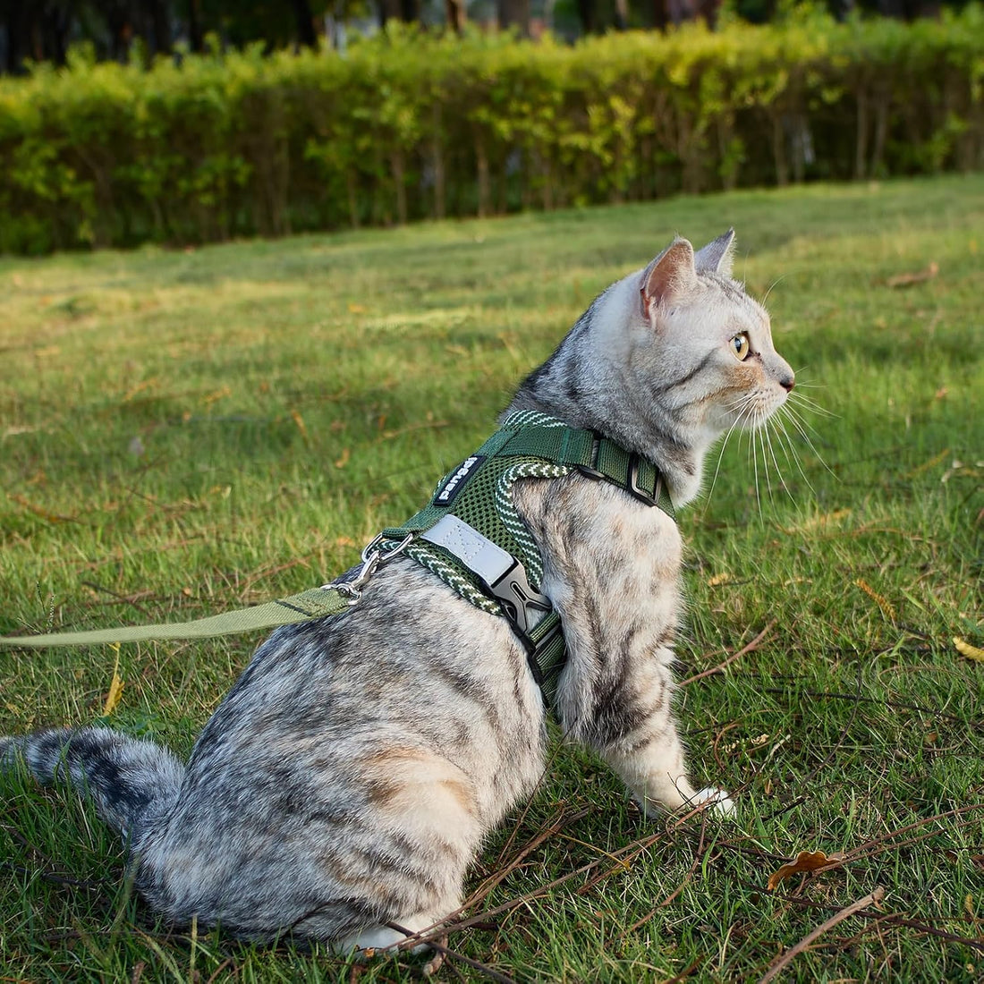 pangdi Cat Harness and Leash Escape Proof Extra Large Kitten Harness