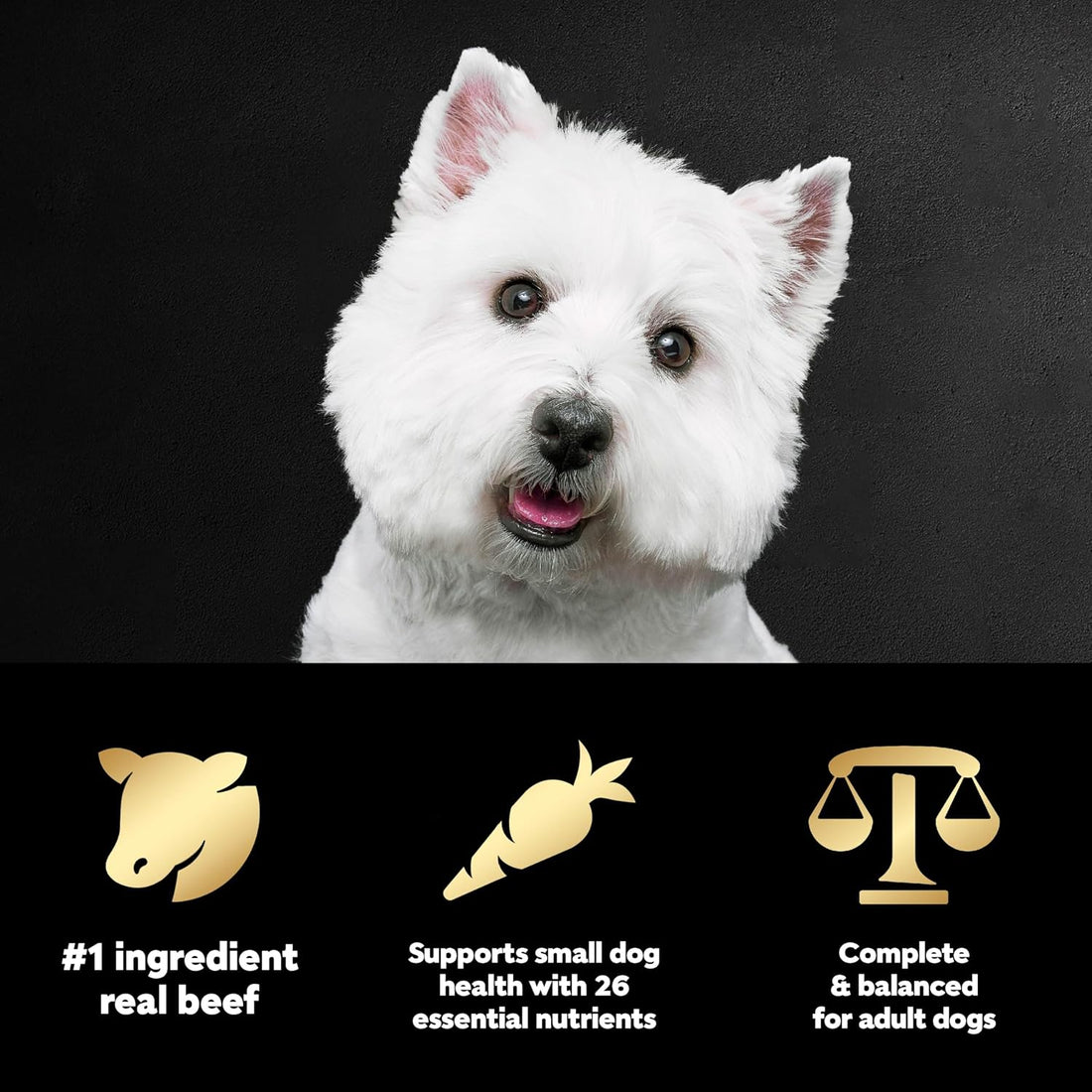 Cesar Small Breed Dry Dog Food for Small Dogs