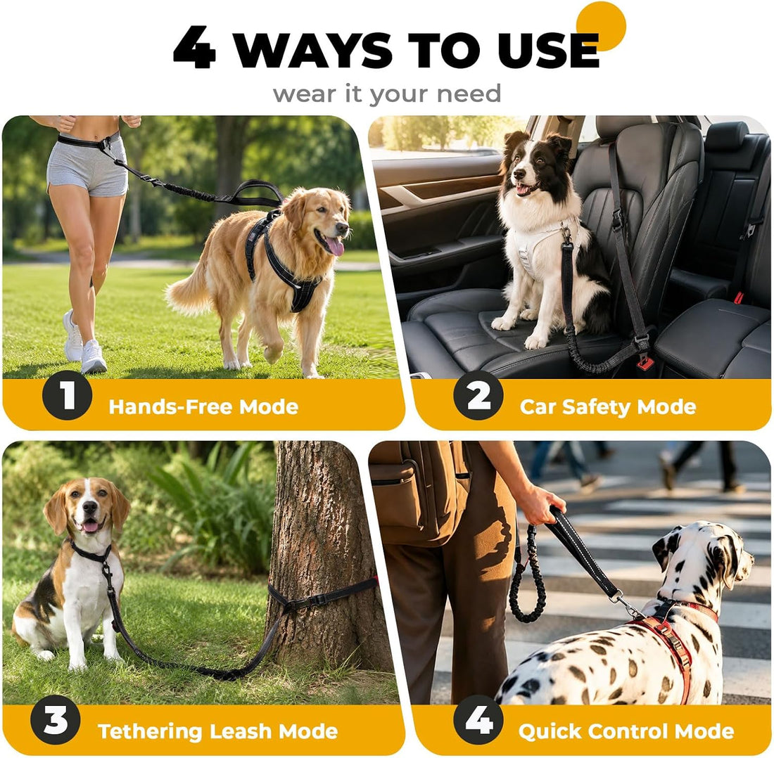 PETCARE 4 in 1 Hands Free Dog Leash with Car Seatbelt Buckle