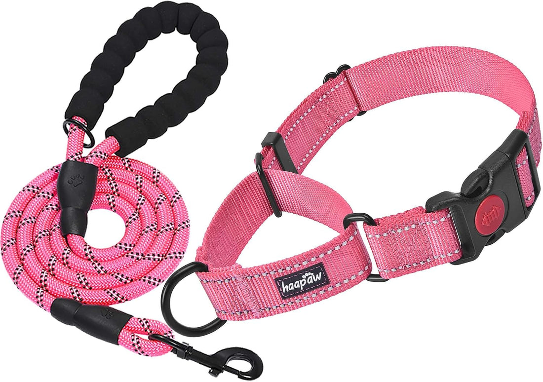 Haapaw Escape-Proof Martingale Dog Collar