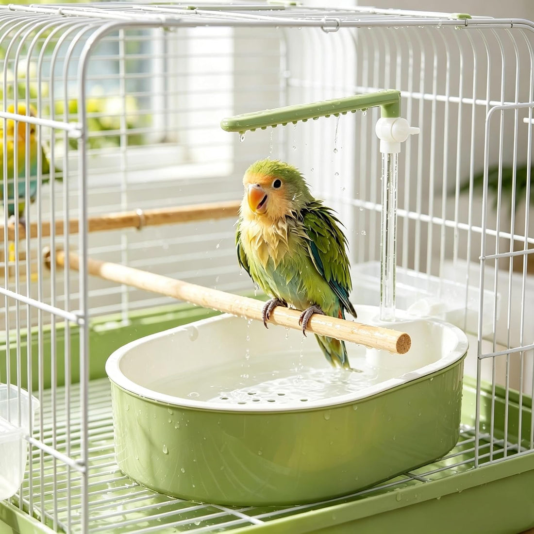 Automatic Circulating Water Parakeet Bath, Parrot Bath Bowl