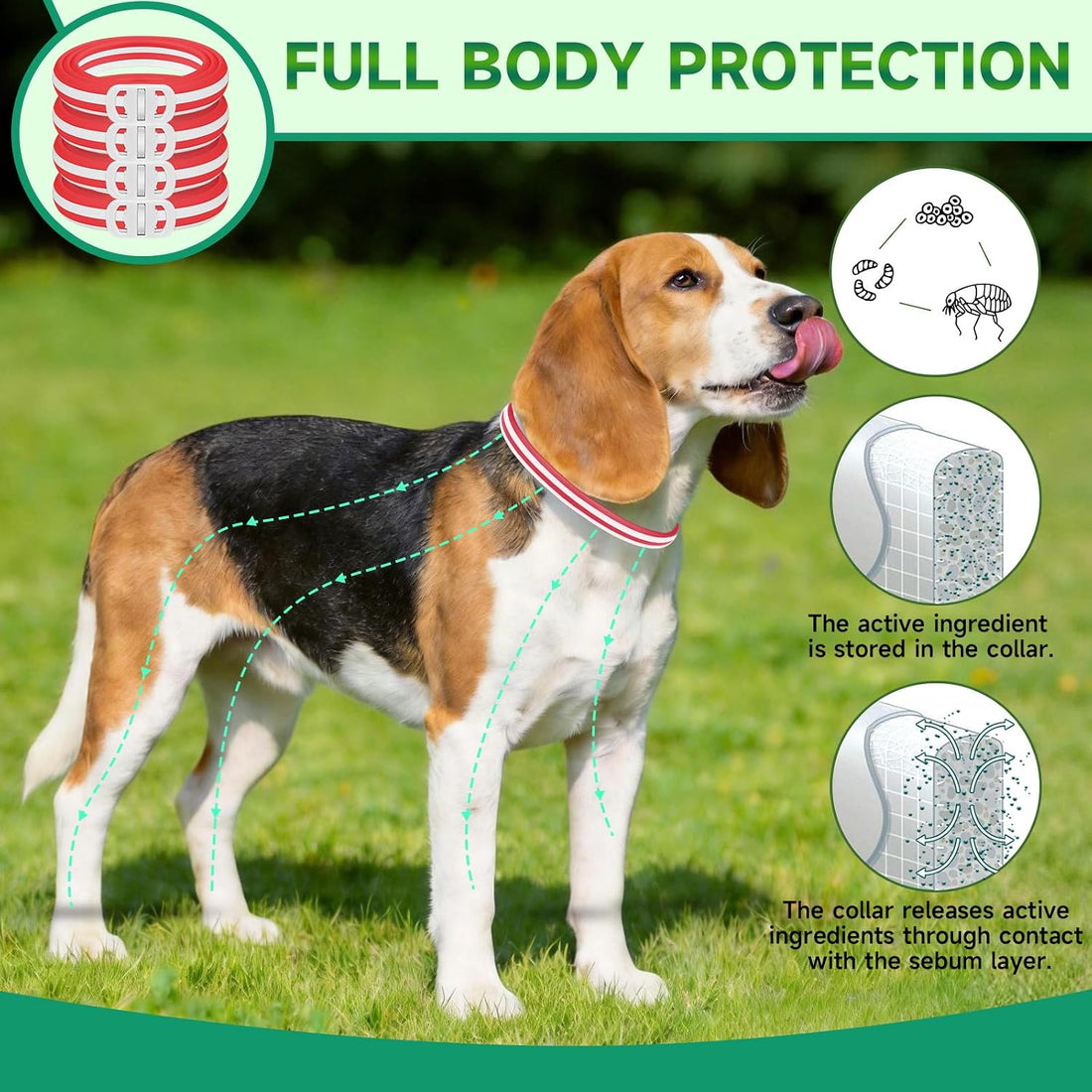 Flea and Tick Prevention for Dogs, 4 Flea Collars, 32 Months