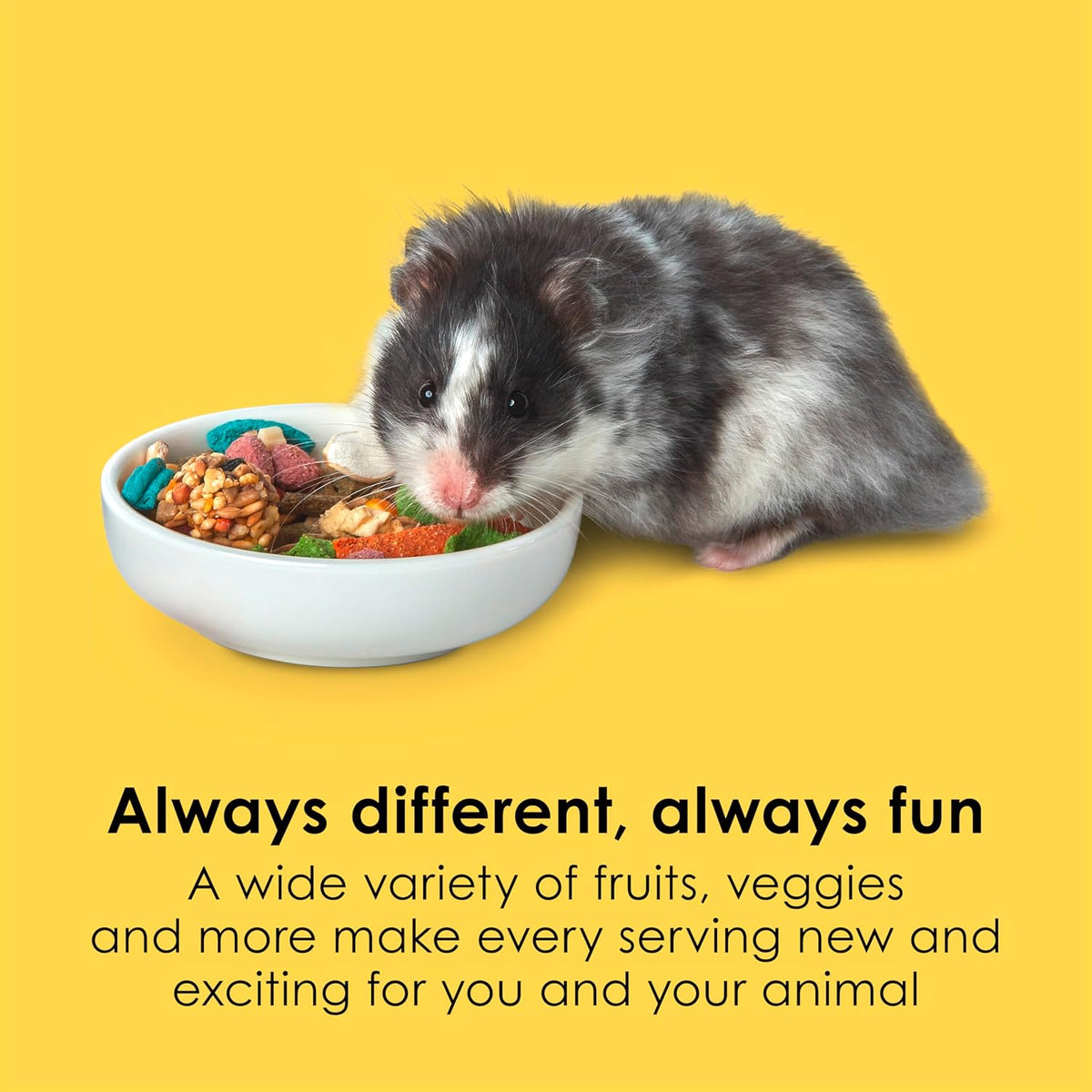 Kaytee Fiesta Hamster & Gerbil Food, Nutritious and Fun Blend