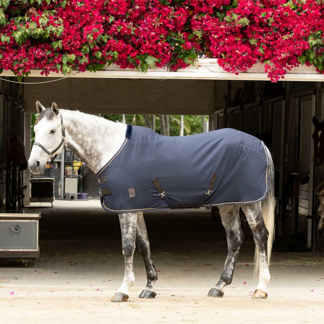 Equinavia Vind Lightweight Stable Blanket for Horses