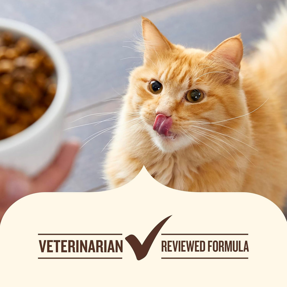 Nutrish Premium Natural Dry Cat Food, Real Chicken & Brown Rice Recipe