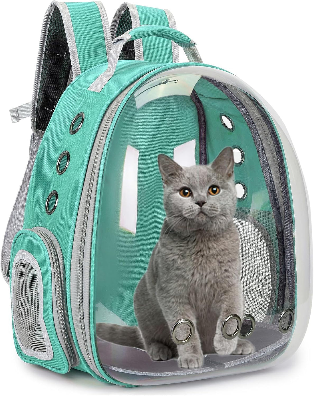 Cat Backpack Carrier Bubble Carrying Bag