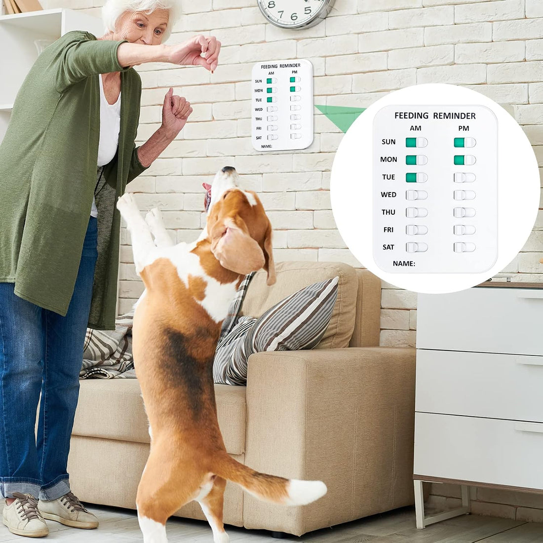 Coolrunner Pet Feeding Reminder for Dogs Cats