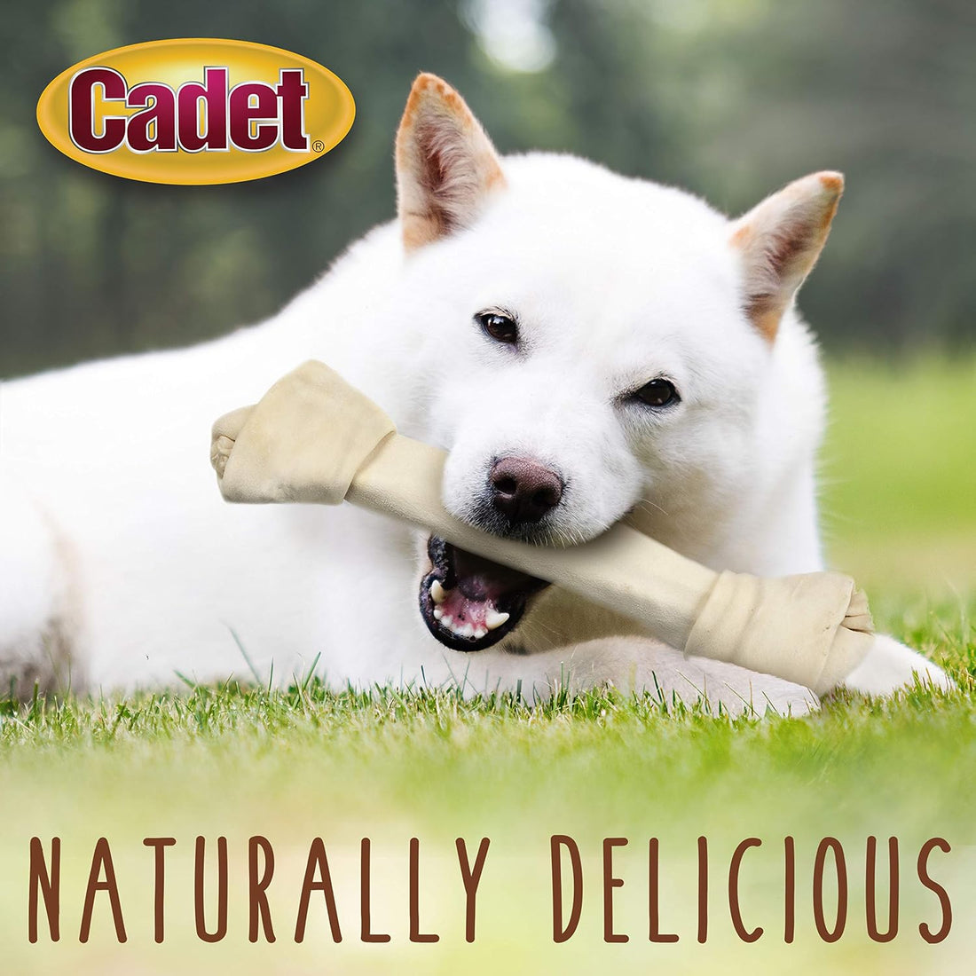 Cadet Premium Grade Beef Hide Knotted Bone Dog Chews, 13-14"