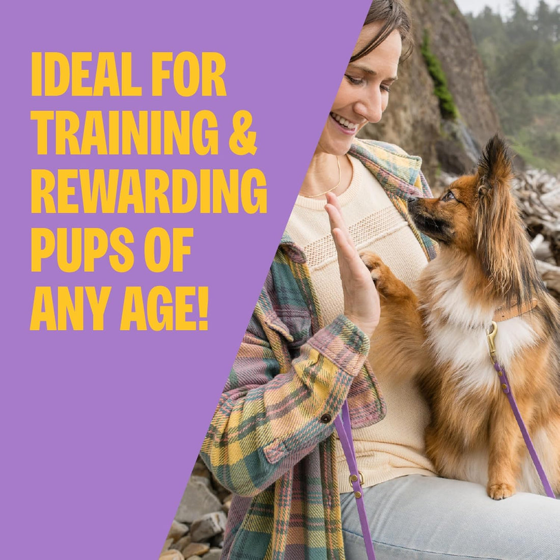 Wellness Soft Puppy Bites Dog Training Treats, Natural, Grain Free