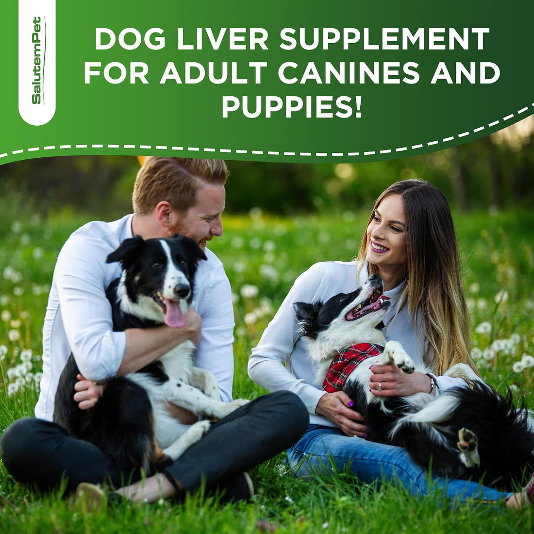 Milk Thistle for Dogs | Dog Liver Supplement for All Ages and Breeds