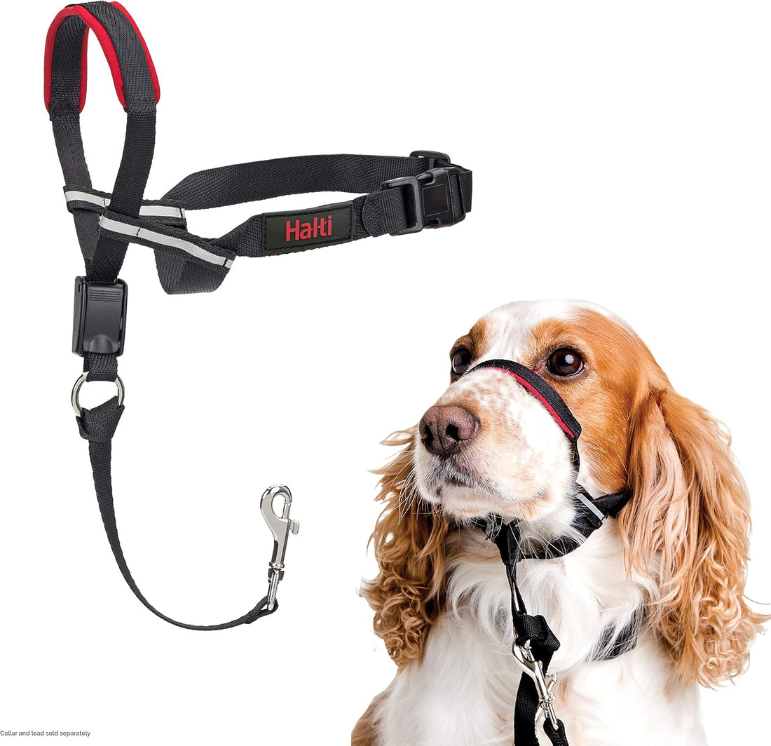 Halti Optifit Headcollar for Dogs | Size L