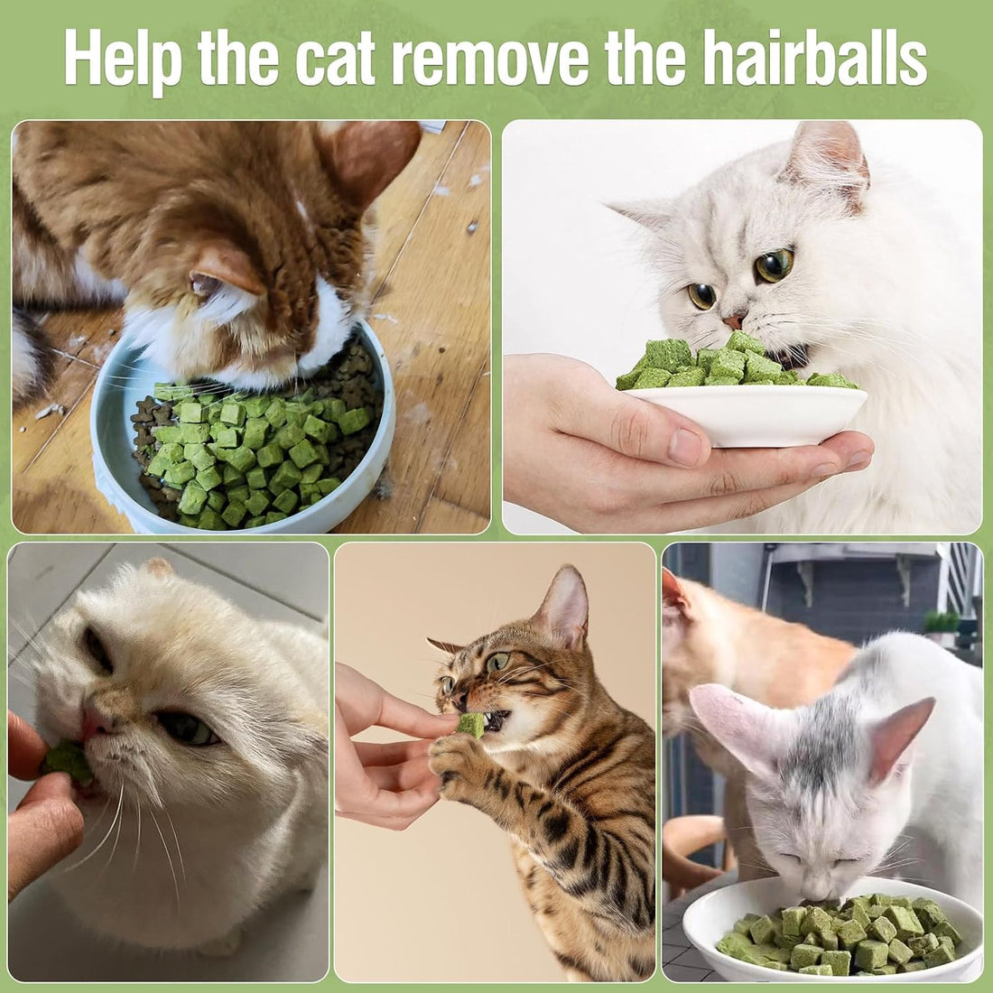 60g/2.13oz Cat Grass Teething Toy Hairballs,Chew Treats