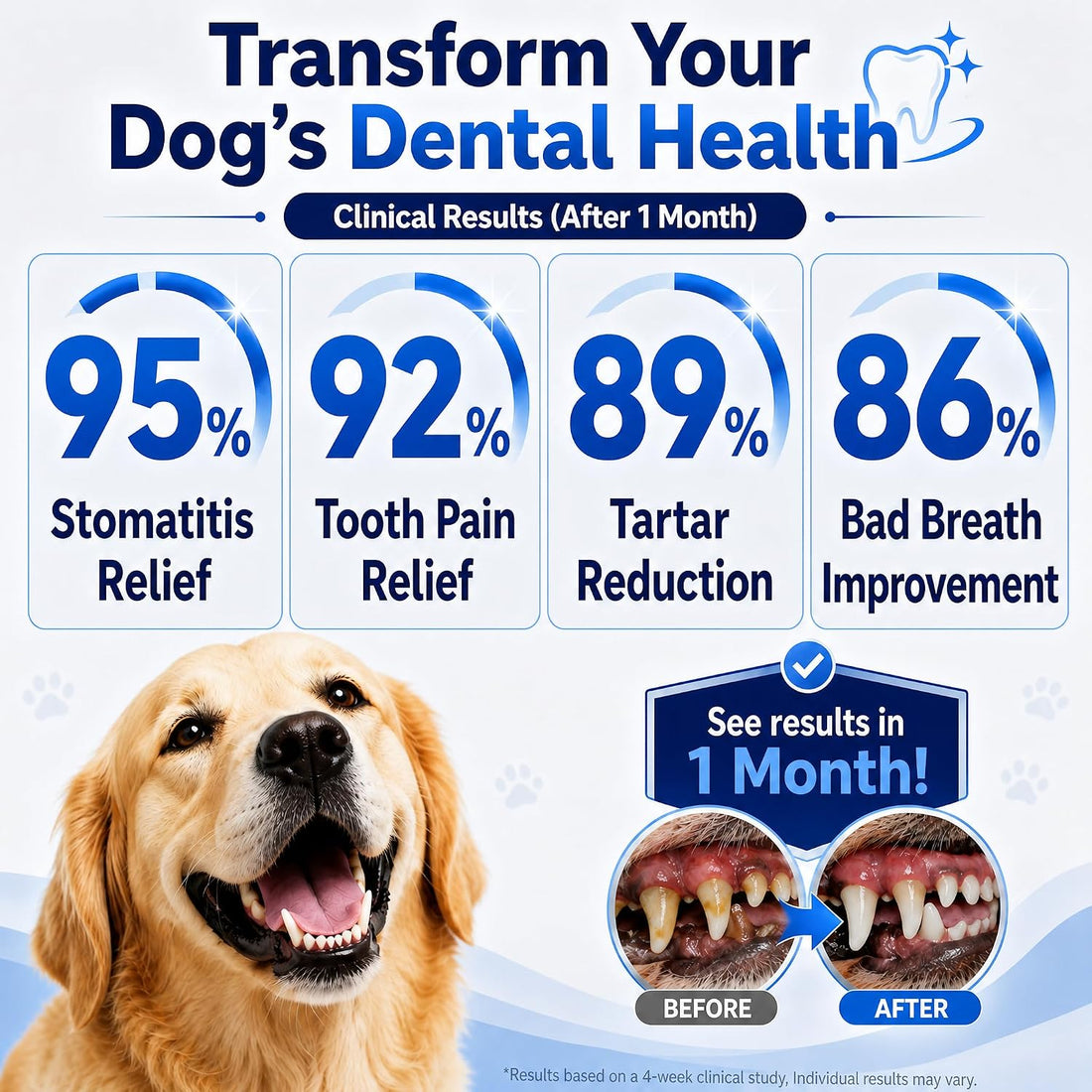 Dog Gingivitis Treatment, Gum Disease Treatment & Dog Tooth Pain