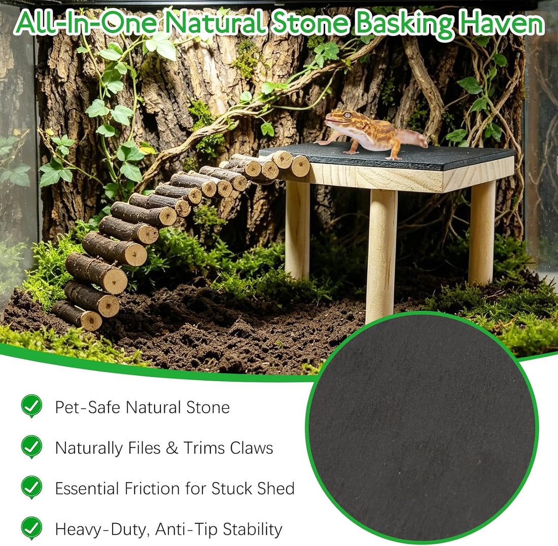 BNOSDM Bearded Dragon Basking Platform Climbing Rocks for Reptiles