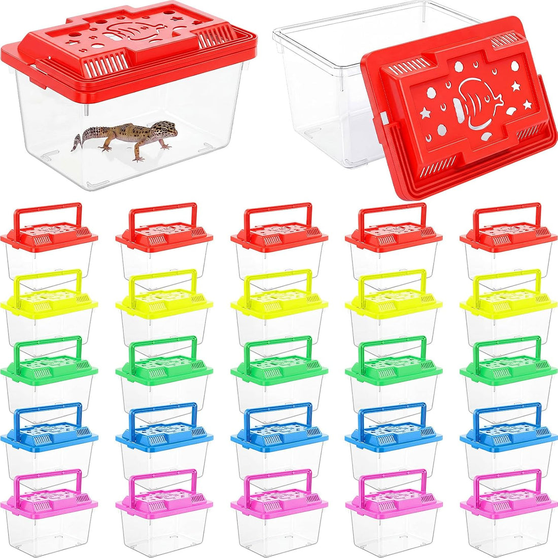 LemonRoad 25 Pcs Plastic Reptile Terrariums,Classic,5.1x3.5x3.5 Inch