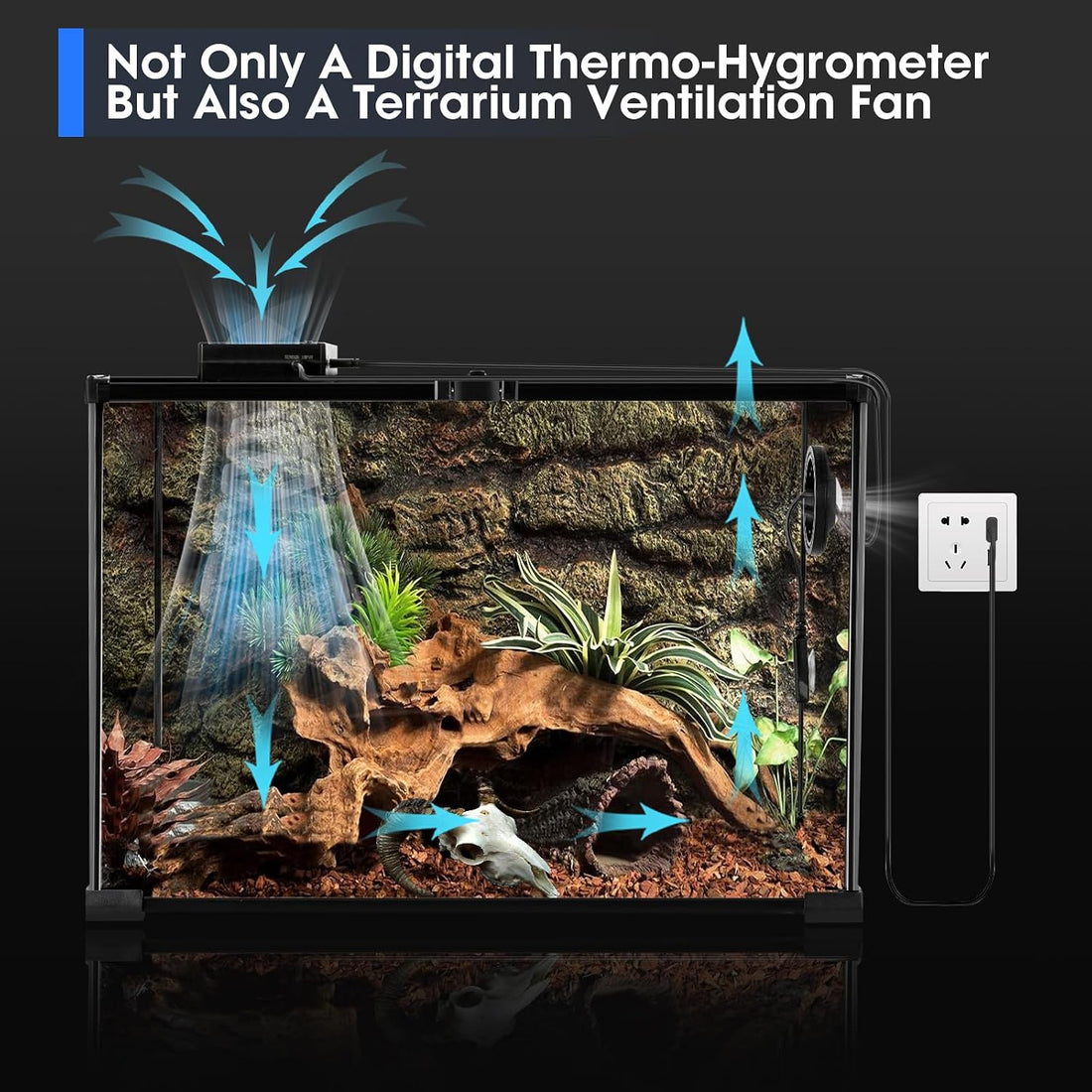 Reptile Terrarium Thermometer Hygrometer with Dehumidifier