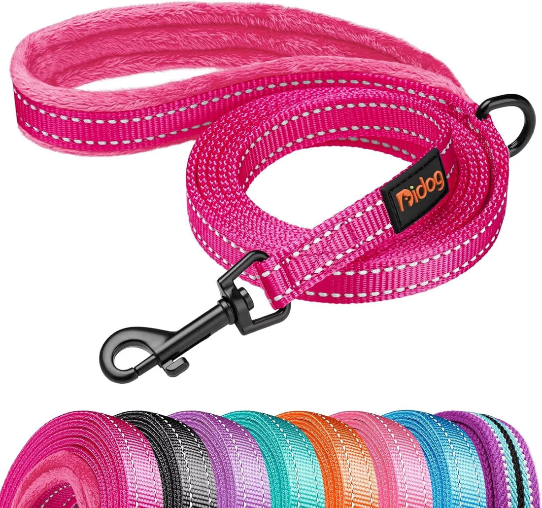 Didog 6FT Reflective Dog Leash for Small Medium Dogs, Slim 5/8" Width