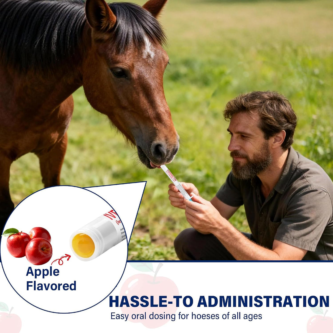 Equine Paste 1.87% – 6 Pack (6.08g) Apple Flavored Oral for Horses