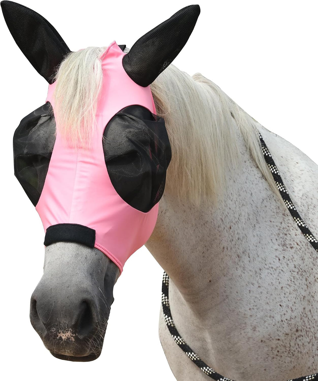 Stretchy Horse Fly Mask with Ears, Large Eye Space Paleblue Cob