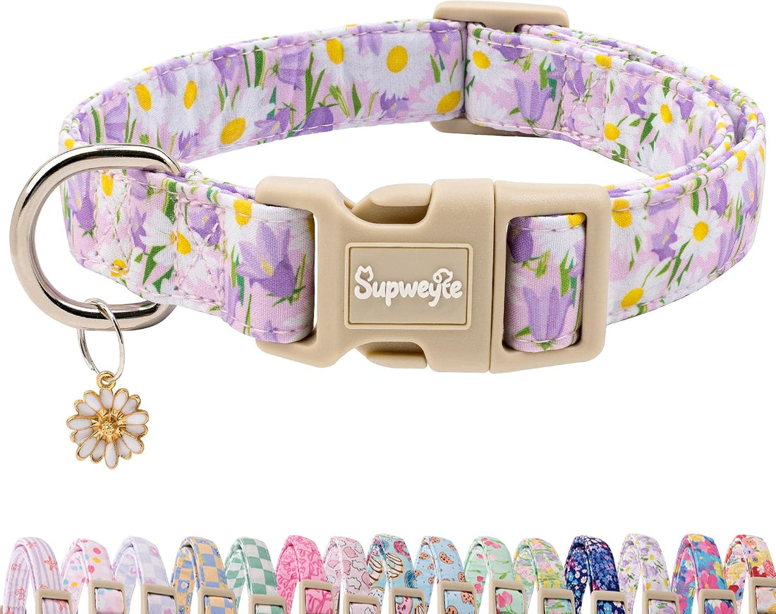 Cute Summer Beach Dog Collar for Girls, Bikini Print XS