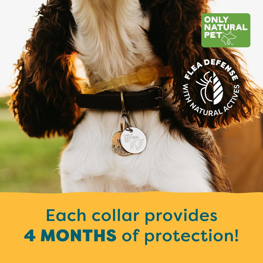Only Natural Pet EasyDefense Flea & Tick Dog Collar