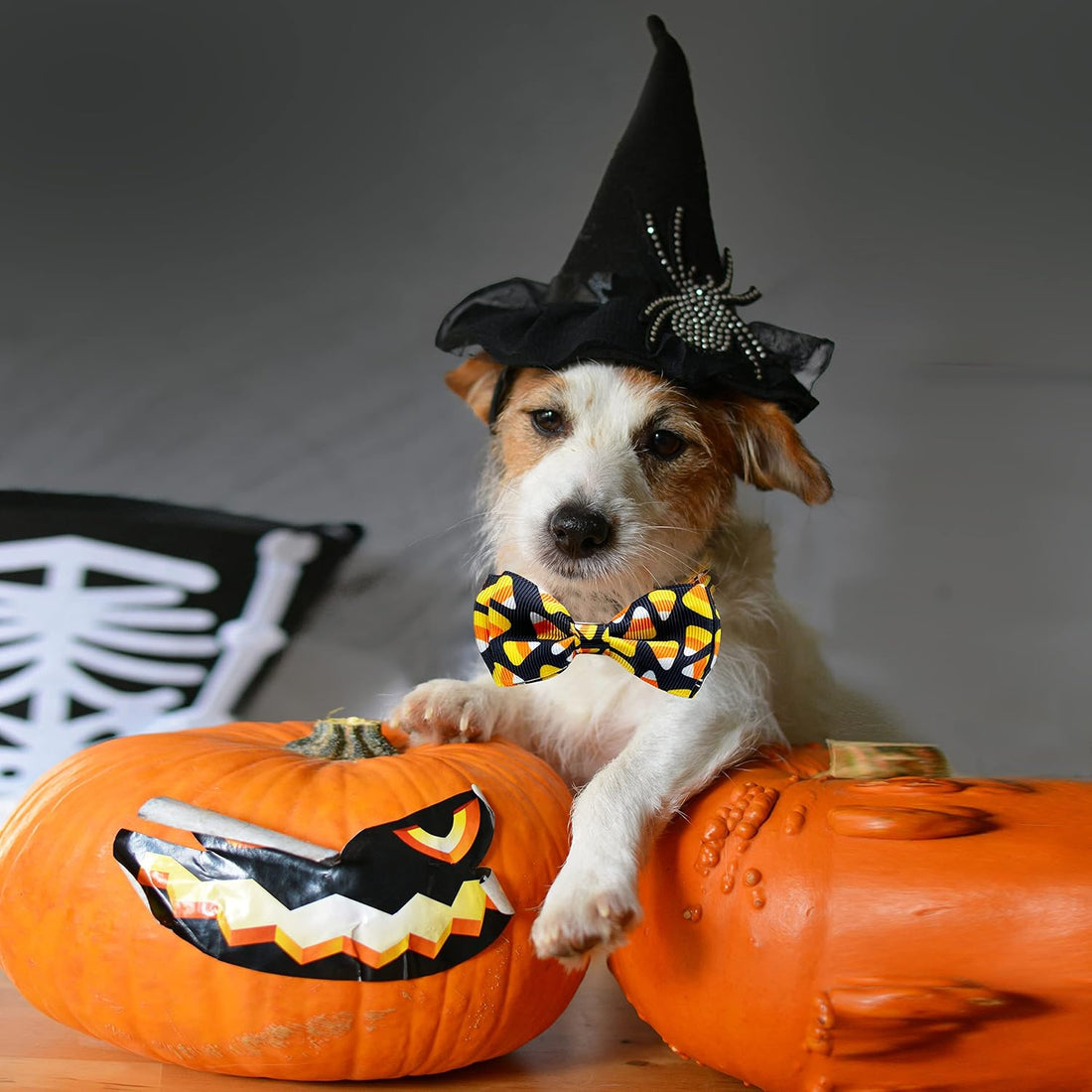 2 Pack Halloween Cat Collars with Bells, Breakaway