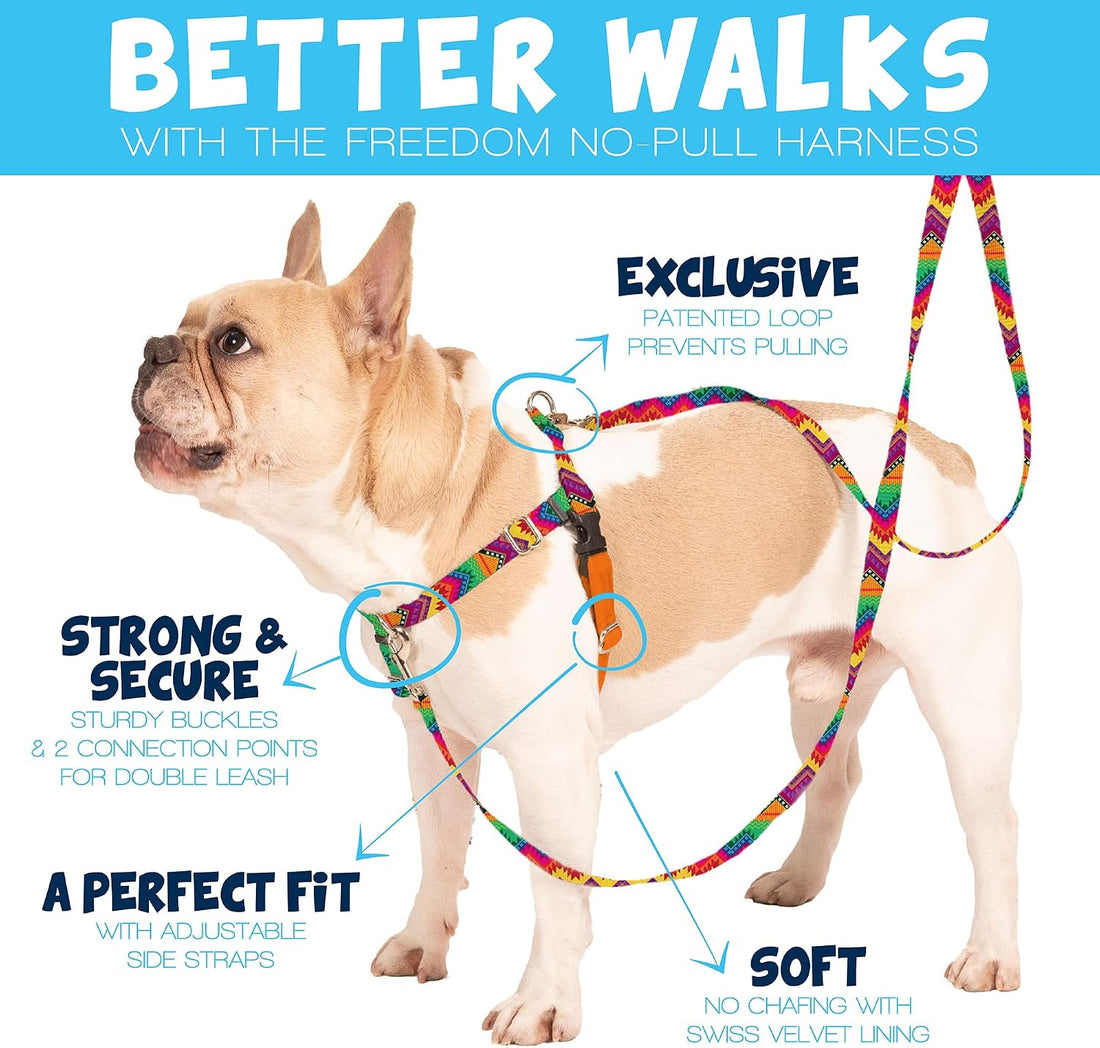 2 Hounds Design Freedom No Pull Dog Harness and Leash, 1" LG