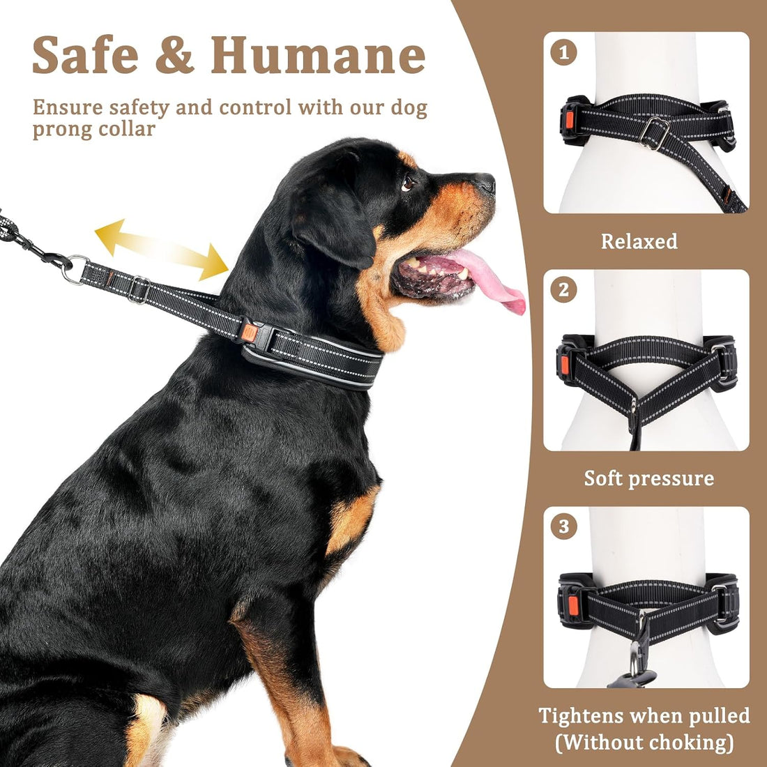 Mayerzon Martingale No Pull Dog Collar