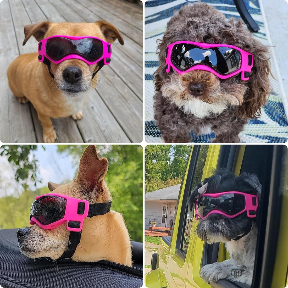 Small Breed Dog Goggles, Pink Sunglasses with UV Protection