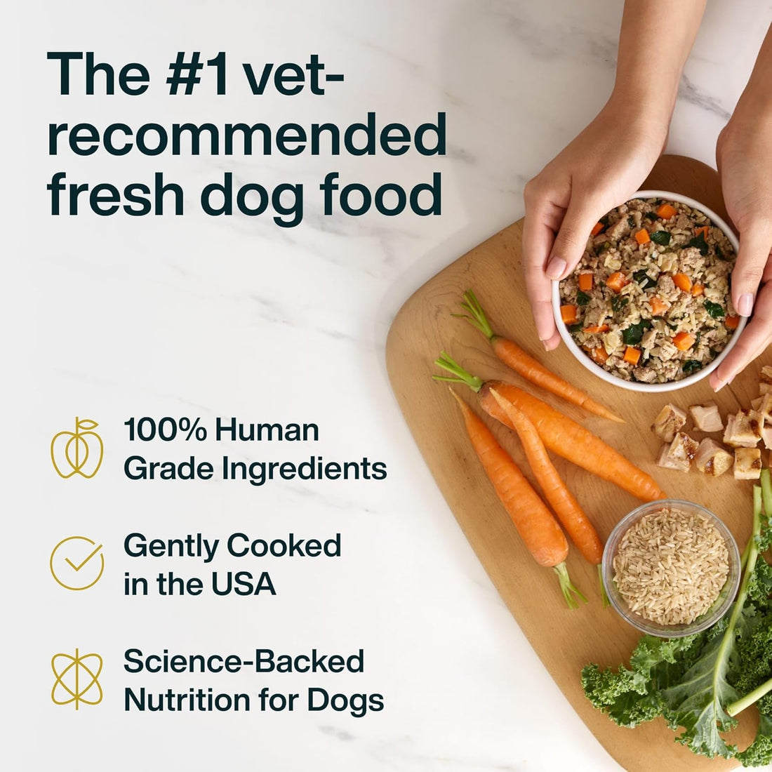 JustFoodForDogs JustFresh Wet Dog Food