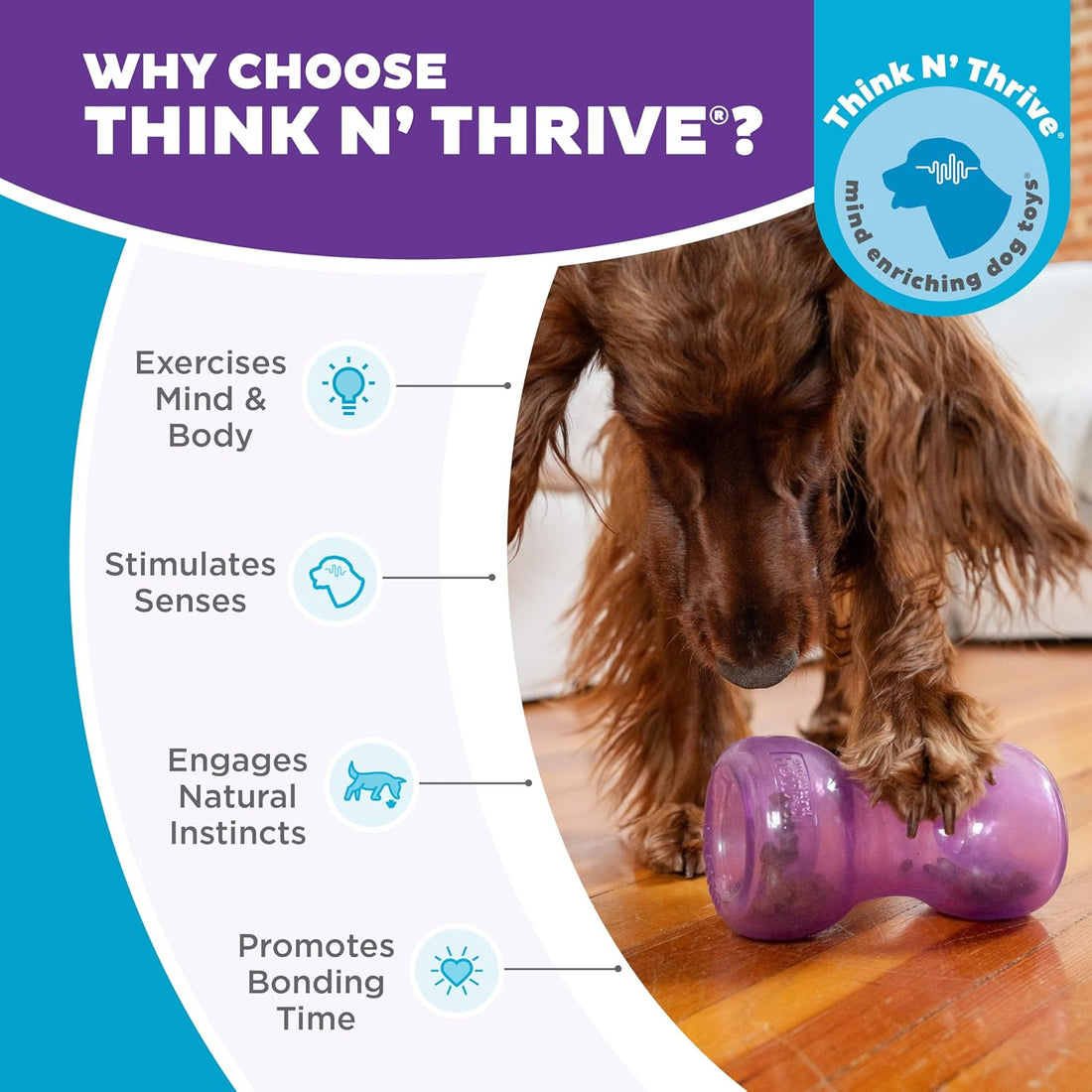 Outward Hound Double Snoop Interactive Treat Dispensing Dog Toy
