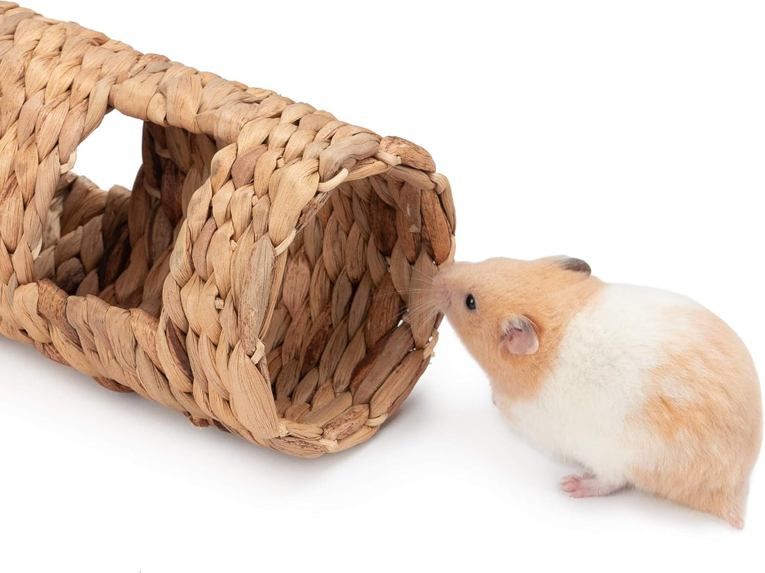 Niteangel Creative & Composable Hamster Tunnel