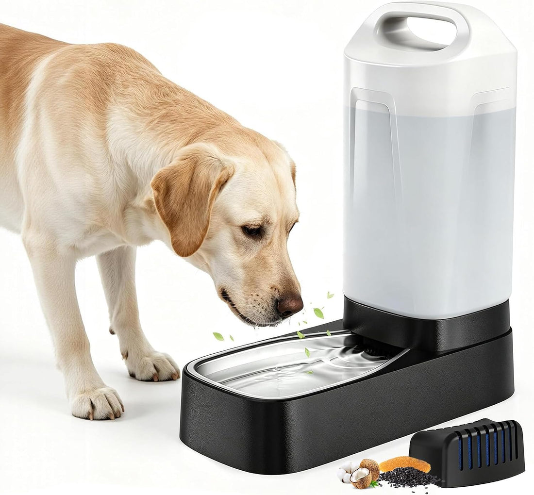 PETNF 2.4 Gallon Automatic Dog Water Bowl Dispenser with Filter