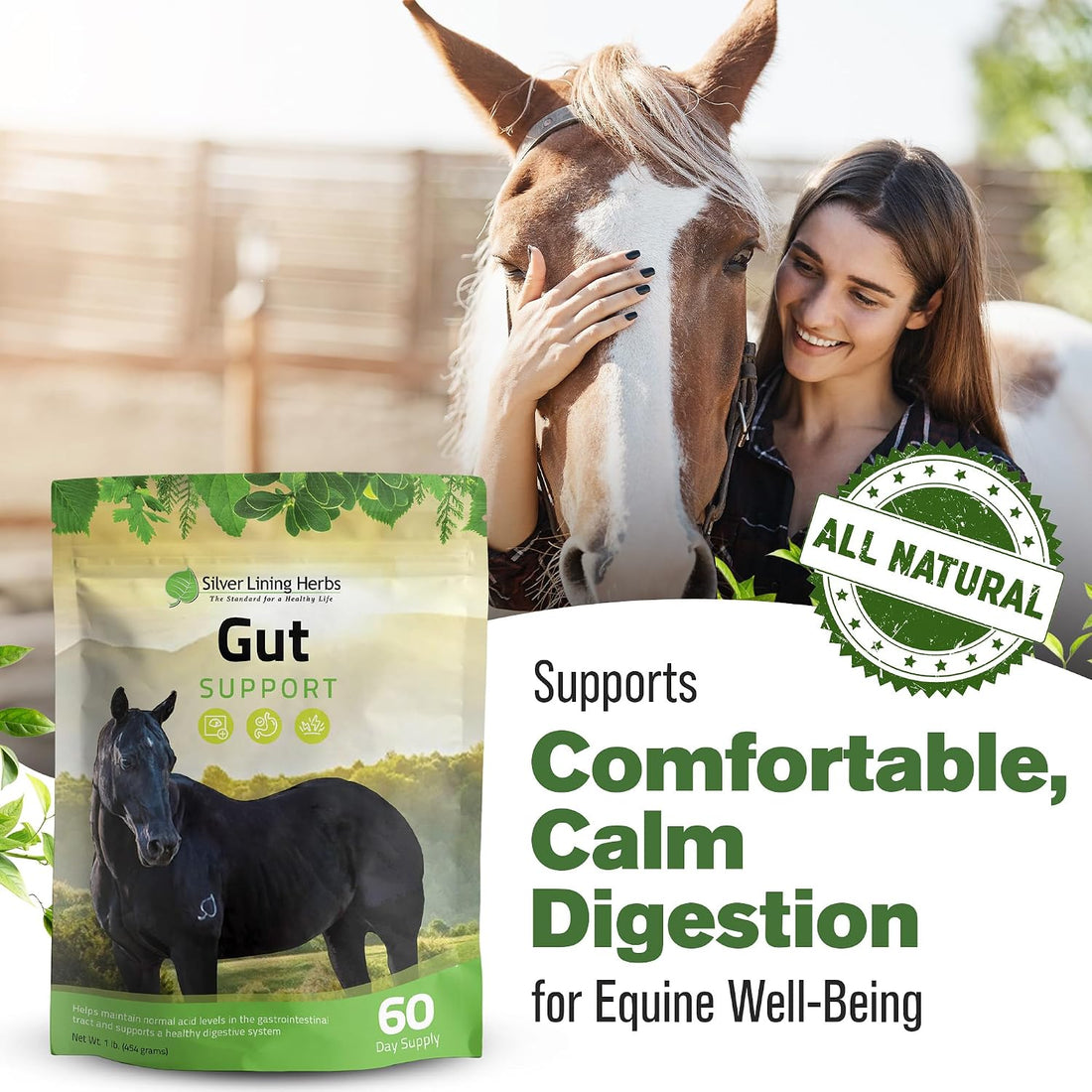 Silver Lining Herbs Gut Support Supplement for Horses - 1 lb