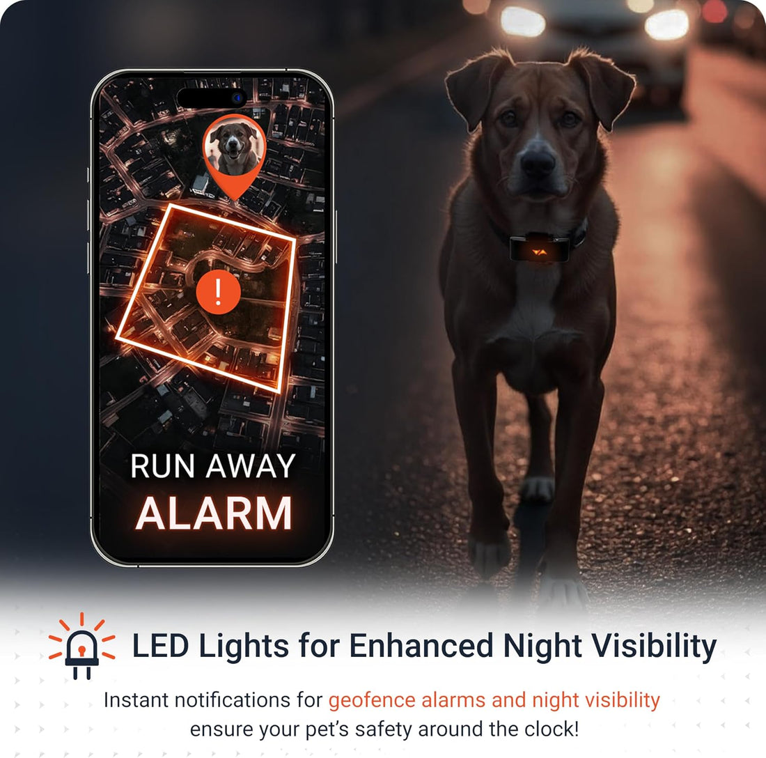 PAJ Dog GPS Tracker 3-Month Subscription Included
