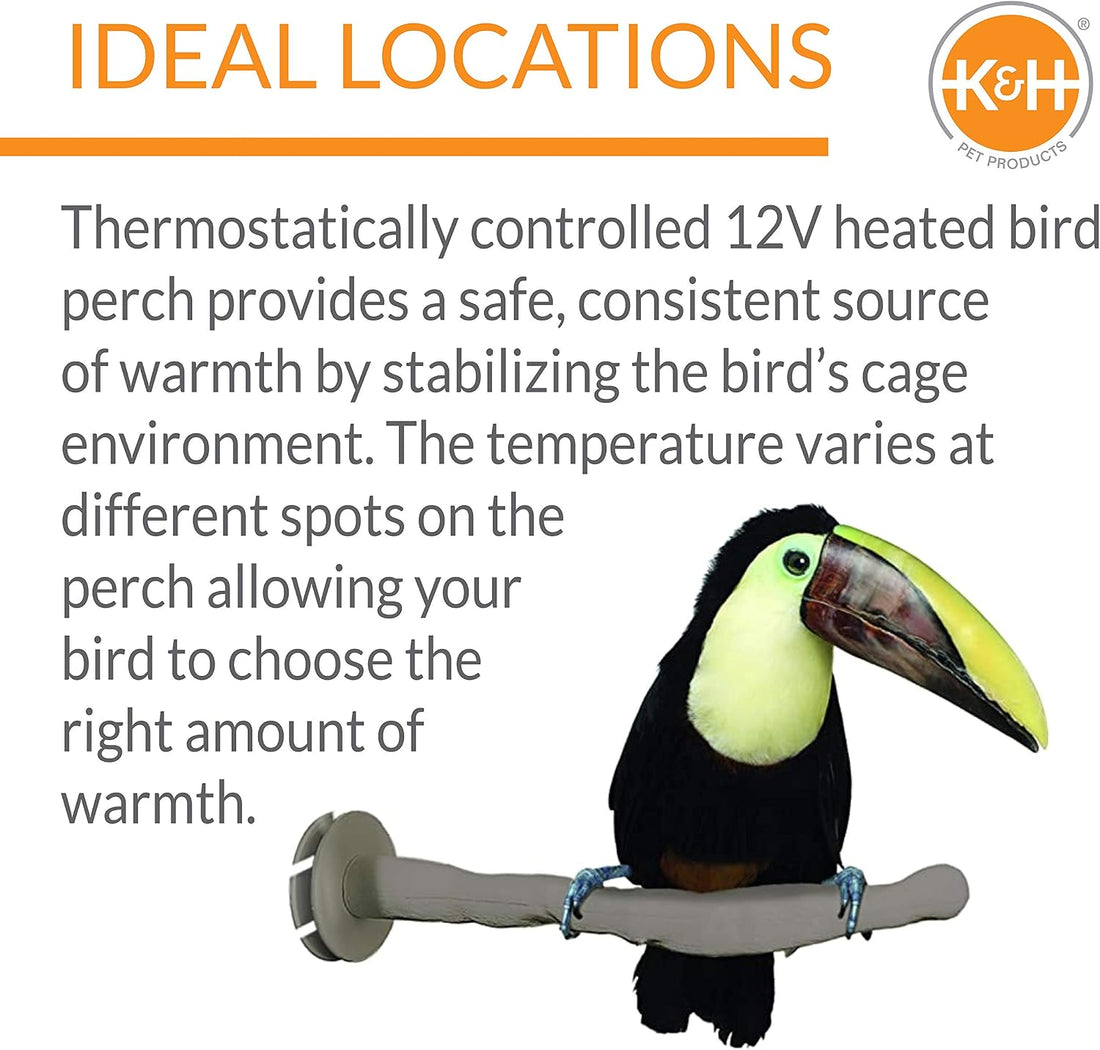 K&H Bird Heater, Thermo-Perch for Cage, Small 1x10.5in 12V, Gray