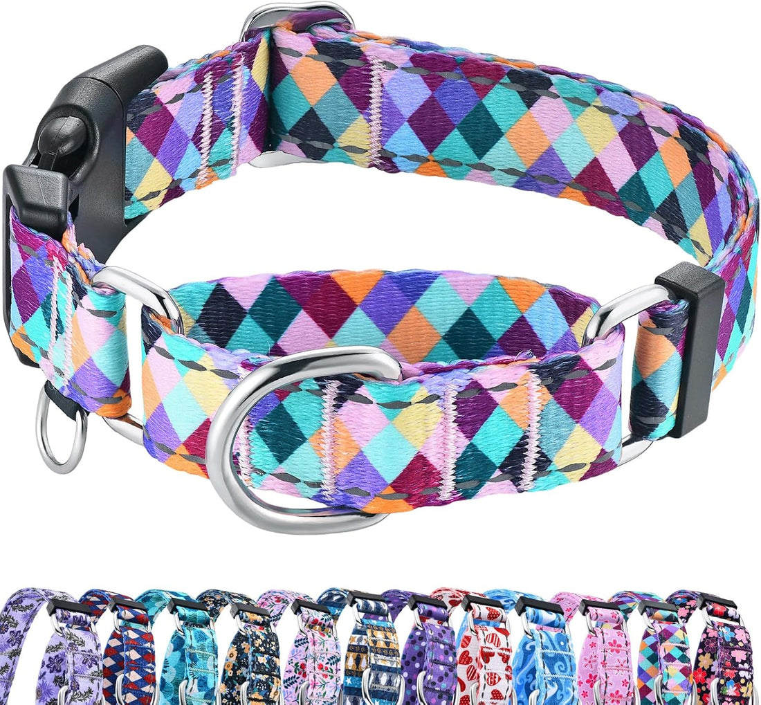 Reflective Martingale Collar for Dogs with Quick Release Buckle No