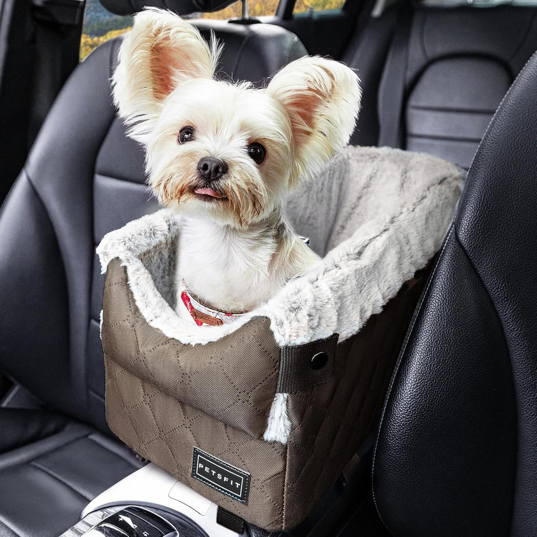 PETSFIT Center Console Dog Car Seat with Adjustable Seat-Rail Anchor