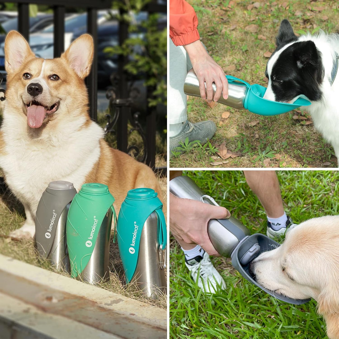 LumoLeaf Portable Dog Water Bottle 27 OZ