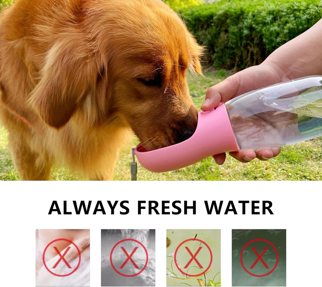 Filter For Dog Water Bottle,Activeted Carbon Filter Element,Change