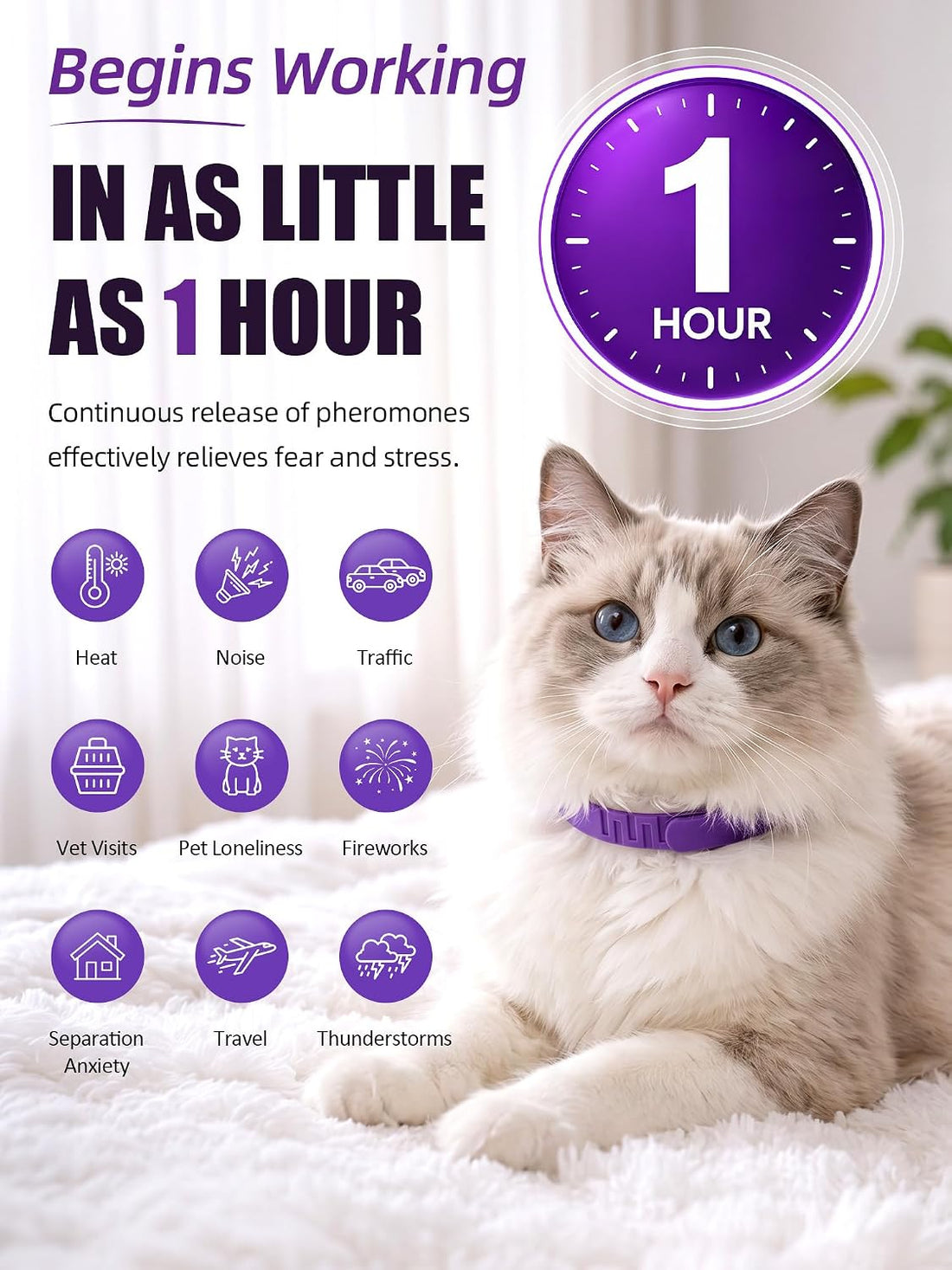 Calming Collar for Cats - Adjustable Anxiety Relief and Stress