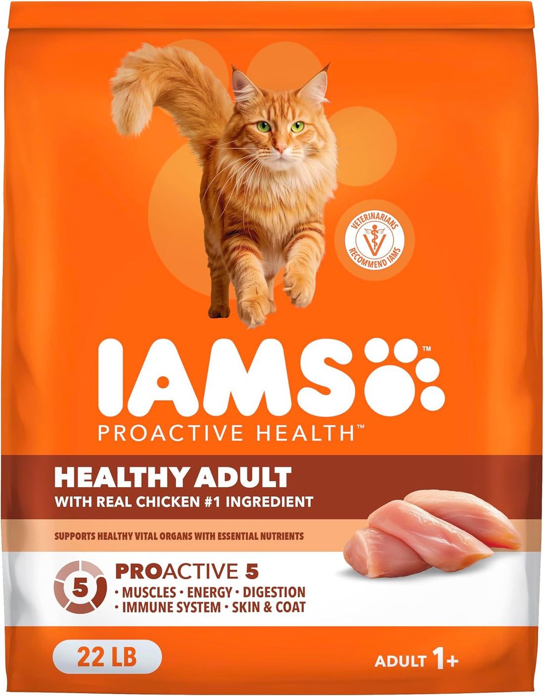 IAMS Proactive Health Dry Cat Food