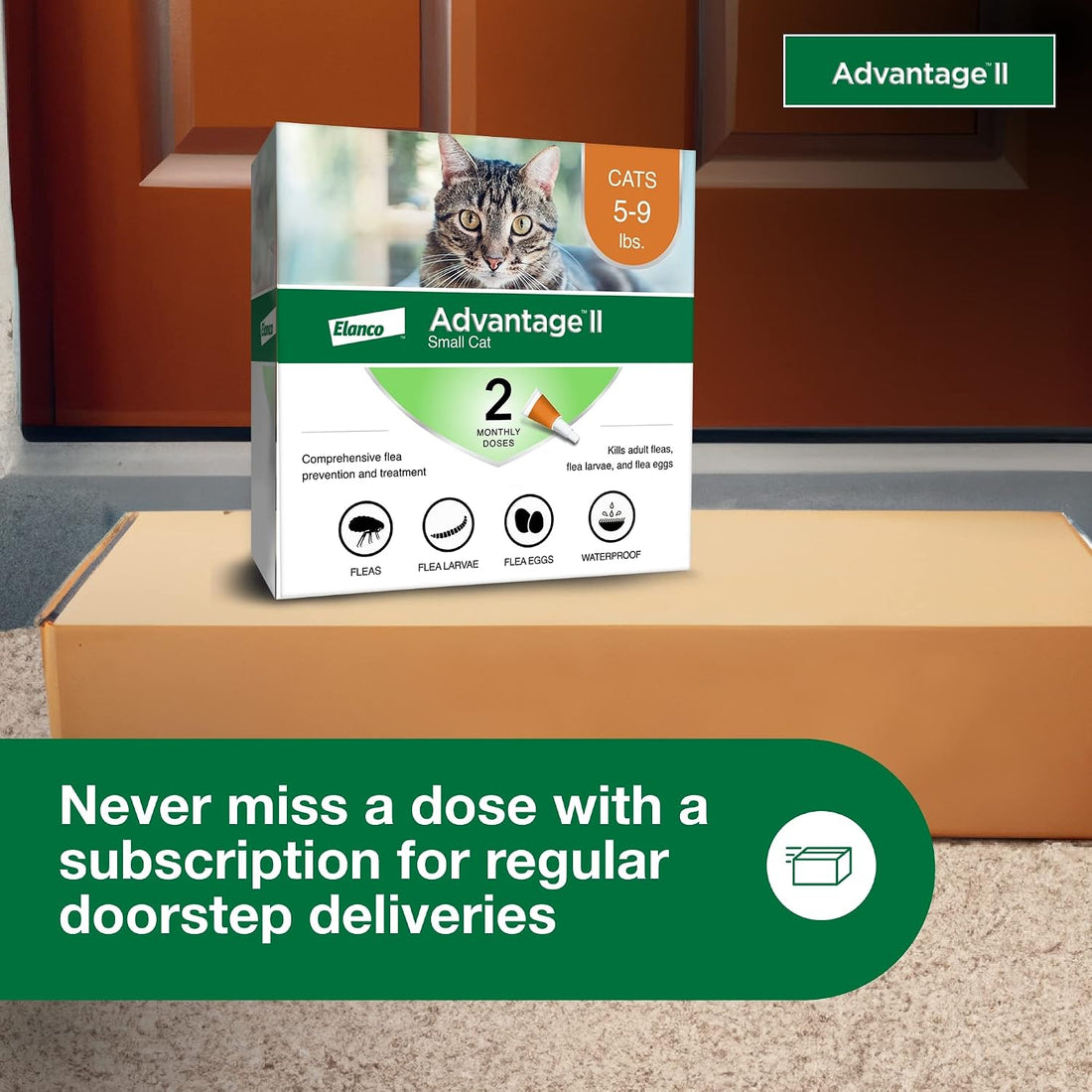 Advantage II Small Cat Vet-Recommended Flea Treatment & Prevention