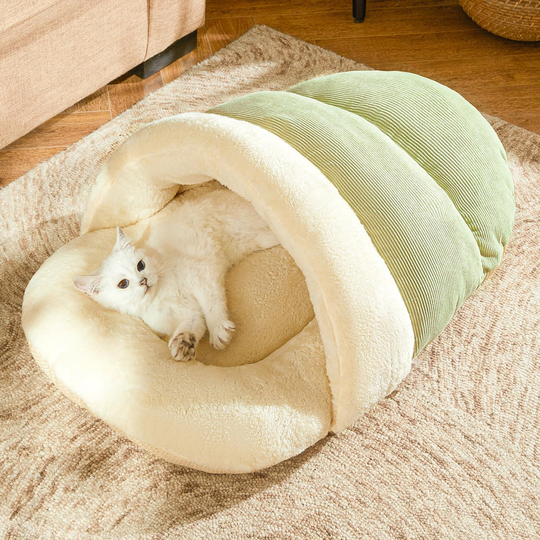 Romaneco Bed for Dog and Cat, Pet Bed