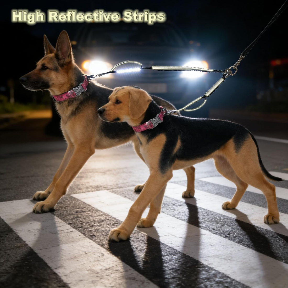 Mycicy Dual Dog Leash Coupler