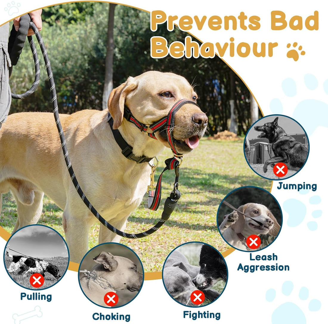 BARKLESS Muzzle Leash for Heavy Pullers, No Pull Stylish Head Halter