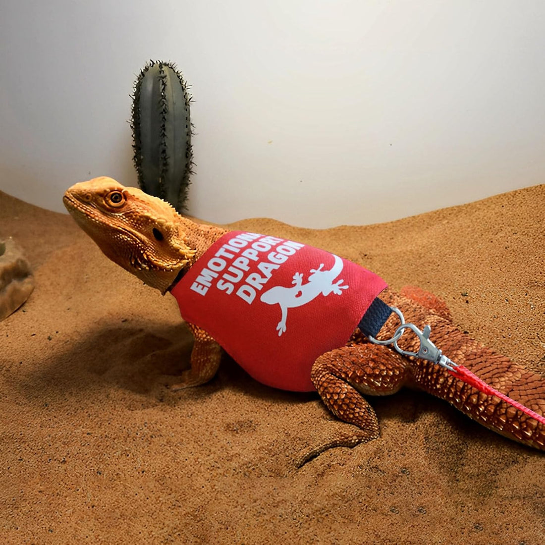 Romansk Bearded Dragon Harness and Leash Set