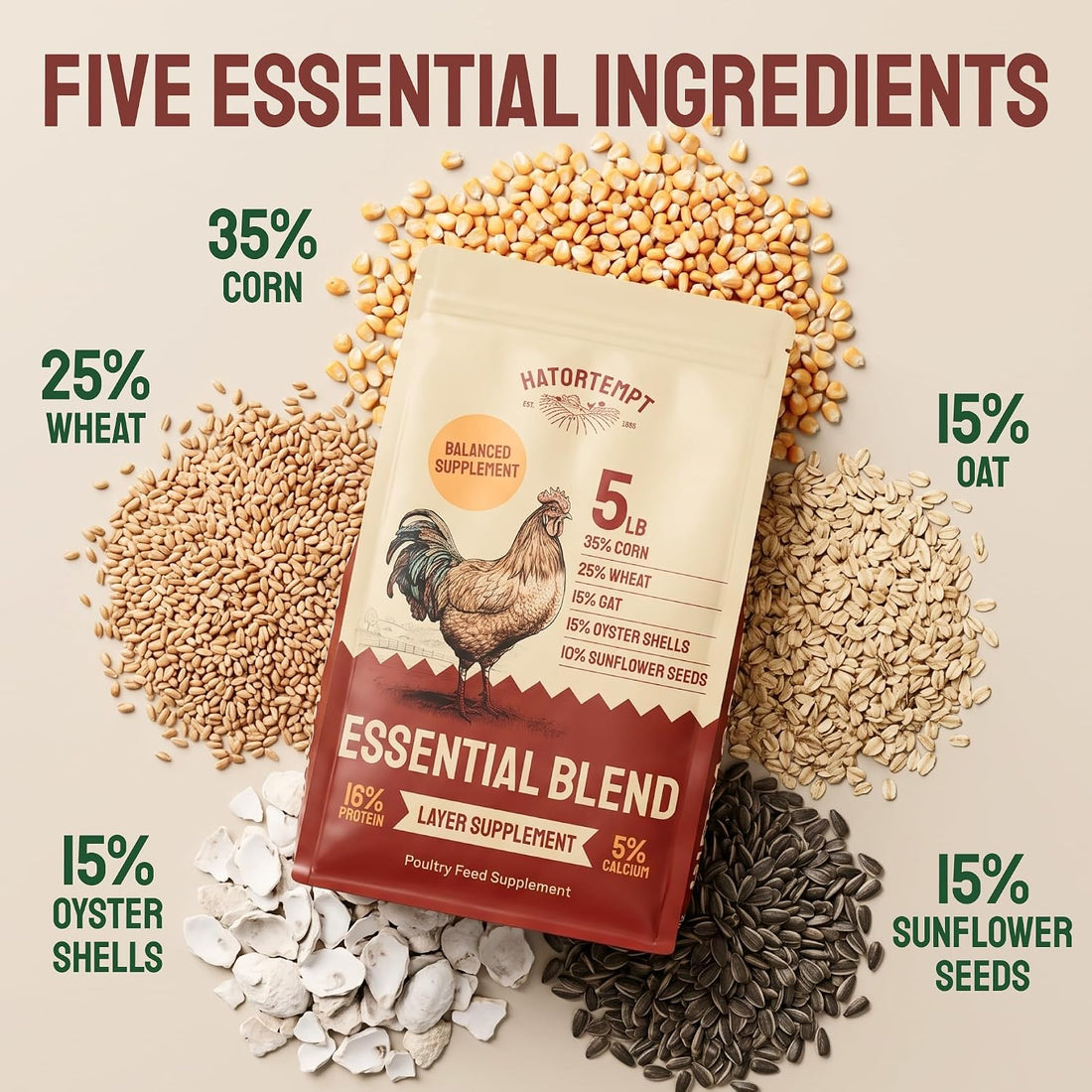 Hatortempt 5lb Essential Blend