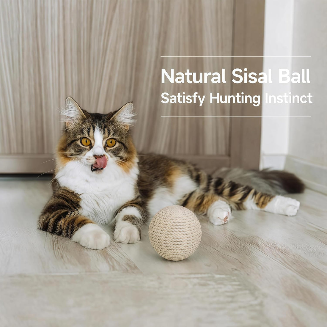 DMZBJ 4-Inch Sisal Cat Toy Balls with Crinkle Sound