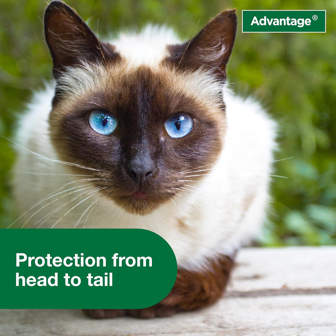Advantage Treatment Spray for Cats, Kills Fleas & Ticks, 8 oz.
